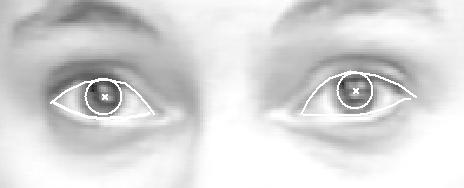 for different appearance below the eye #5 #7 #9 #11 were no face pixels in the stabilized image though head motion