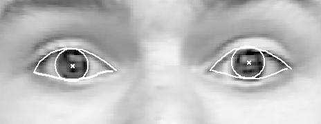 (1) at the geometries of eye parts obtained in the previous frame can improve the robustness for such subjects.