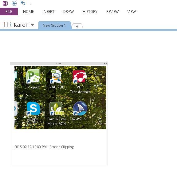 Figure 22 Screen Clipping in a new Page in a new Section of an OneNote Folder.