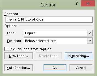 Figure 47 Insert Caption dialog with text for Caption. By default the Caption is placed below the image.