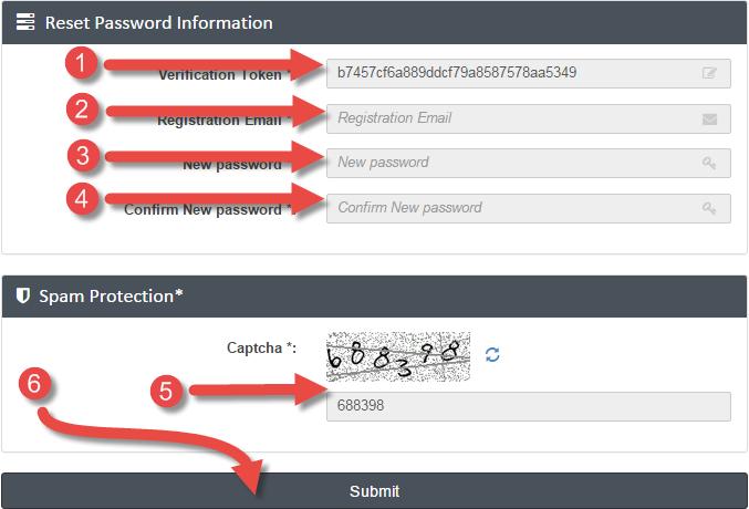 When the new page opens, you will see a form just like the one below. Image 8: Password Reset 1. Right click with your mouse and choose paste. 2.