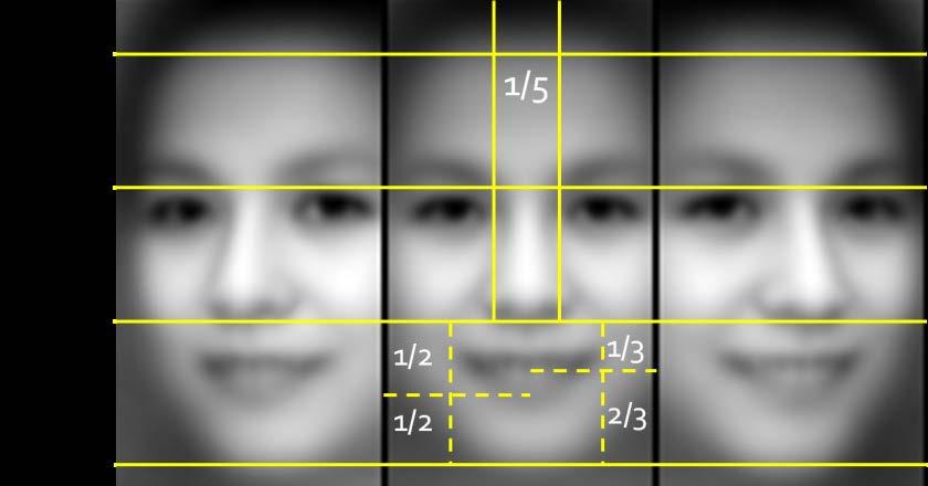 6.1 Golden Ratio Facial Proportions To better understand common notions of facial beauty, we analyzed more than 12k facial images of different races.