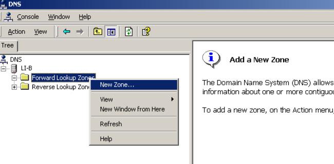 Figure 43 Create a zone # Create a mapping between host name