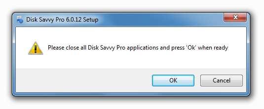 Each time DiskSavvy is started, the update manager checks if there is a new product version available.