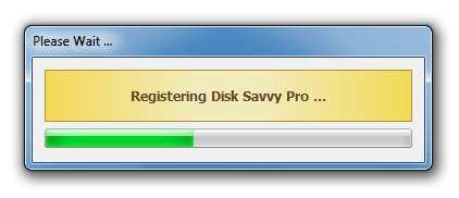 3.32 Registering DiskSavvy Pro and DiskSavvy Ultimate DiskSavvy Pro licenses and discounted license packs may be purchased on the following page: http://www.disksavvy.com/purchase.