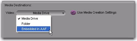 Embedded in AAF This option embeds the video media in the AAF sequence that is exported from the Avid application.