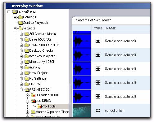 The following illustration shows Sample accurate edit files in the Interplay Window.