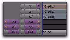 11 If the video track and the original audio tracks are enabled (gray), disable them and enable the new audio tracks (purple), by clicking the correct audio track buttons (A1 A24).