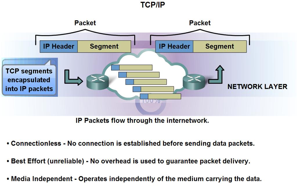 Network Layer Protocols and Internet Protocol (IP) Identify