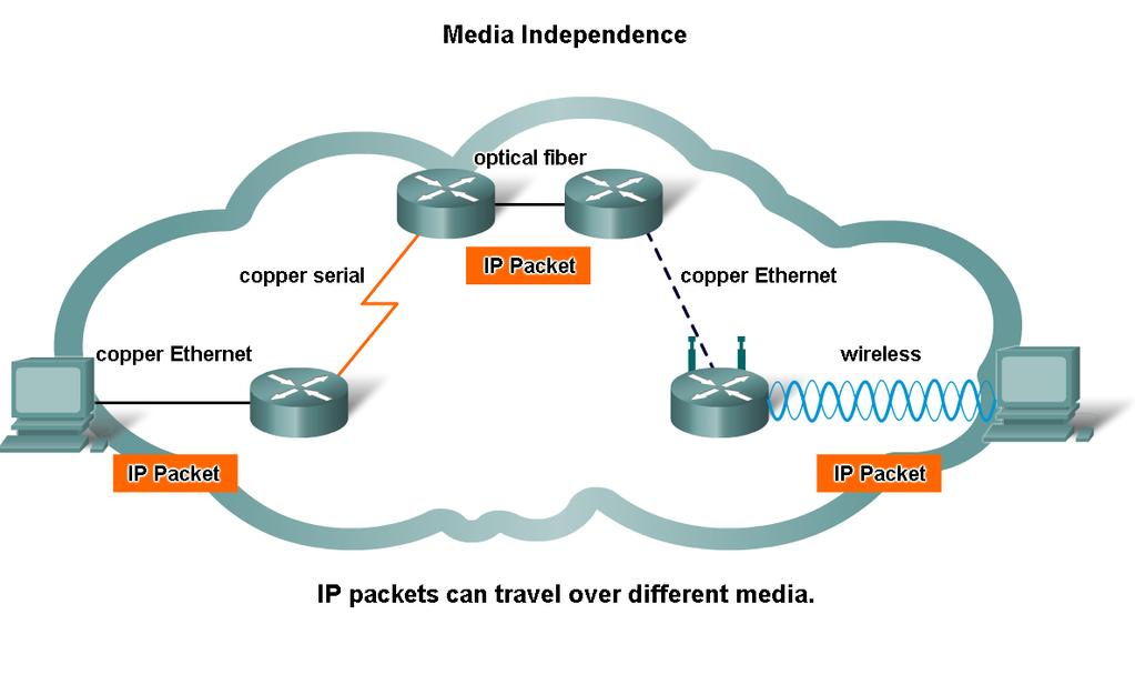 Network Layer Protocols and Internet Protocol (IP) Describe the
