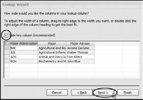 In the first dialog box of the Lookup Wizard select I want the lookup column to look up the values in a table or query. Click Next.