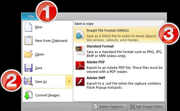 7. Save Your Work as a Snagit Capture File Have you ever created a great graphic with a screenshot, arrows, and callouts and then a change was made to the screen?