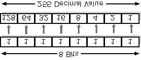 The octets represent a decimal number ranging from zero to 255, and the entire 32 bits of the IP address are allocated to the network and host IDs as illustrated in Figure 2.