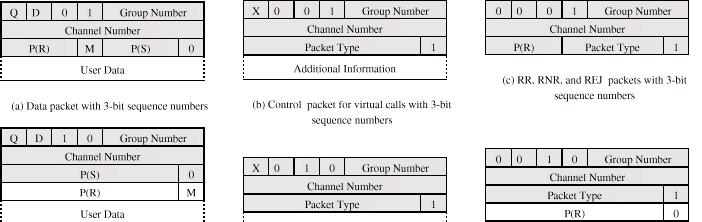 X.25 Packet Format