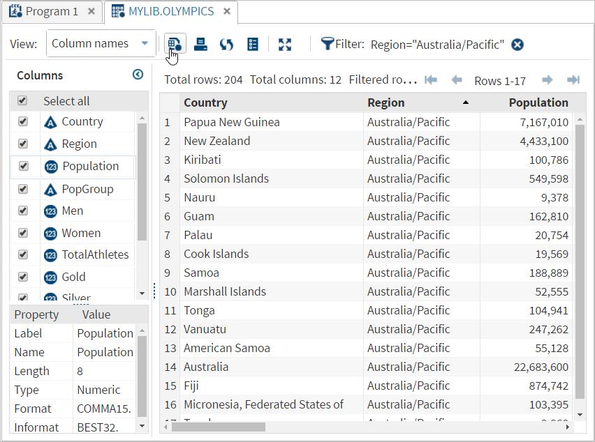 Here is the data set after filtering. The new filter (Region = Australia/Pacific ) is displayed on the toolbar. Display 16.
