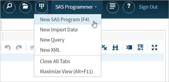 Display 24. Opening a New SAS Program Window CODE SNIPPETS If you find that you have pieces of code that you use over and over, you can save these to a code snippet for easy access.