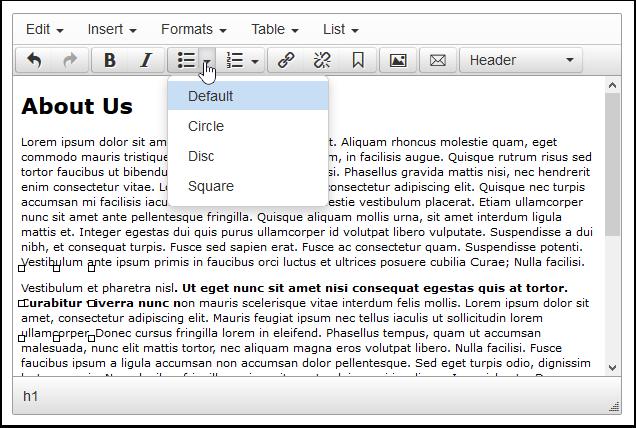 Bulleted List The Bulleted List tool will created a bulleted list using any highlighted