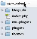 While you are in the file system of your site, you need to create two more directories under wp-content. Create a folder named blogs.dir. Yes, it has a dot in the middle, but it is still a folder, not a file.
