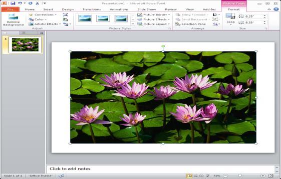 To remove the background from an image: In the slide pane of the PowerPoint window, select the slide onto which you