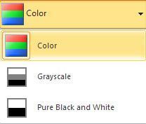 Setting Color These options allow the slides to print in color or simply black and white to a printer.