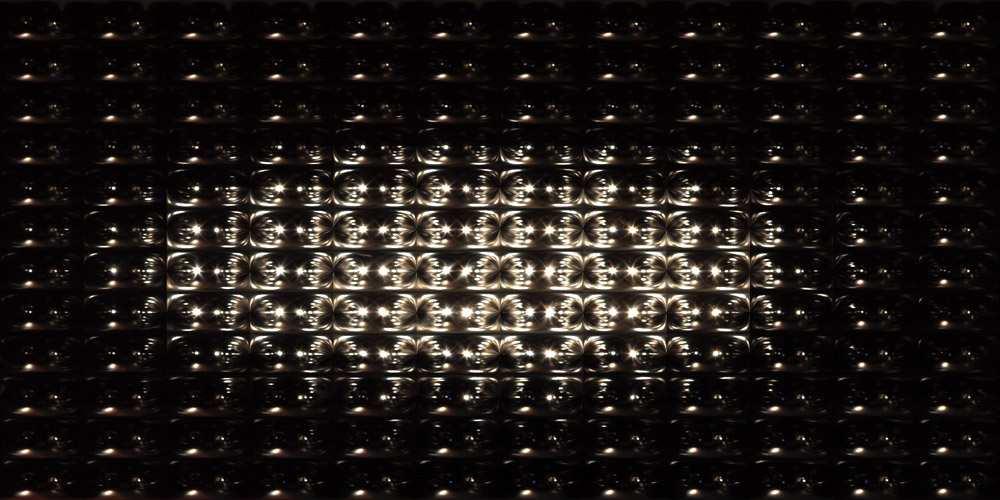 Figure 4: Mirror spheres array data set. The processed incident light field captured with the mirrored sphere array.