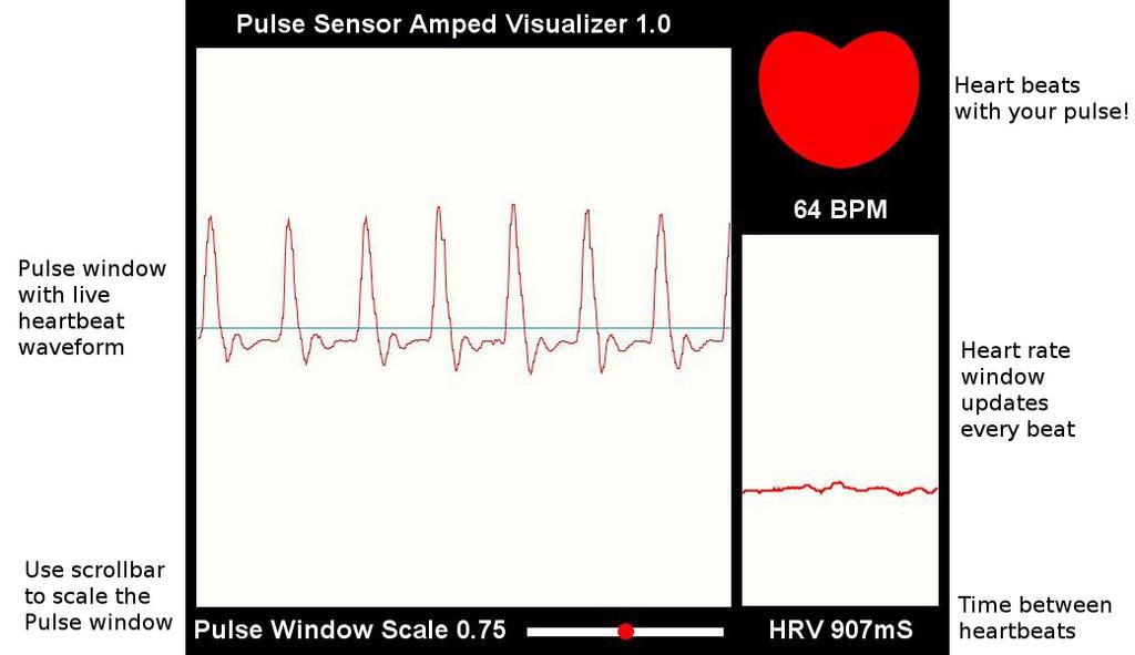 Spot pressure on the Pulse Sensor will give a nice clean signal. You may need to play around and try different parts of your body and pressures.
