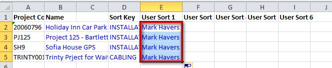 Changing the Downloaded Data Now we need to update the Project Manager name and we just need to use the Excel fill down feature for this.