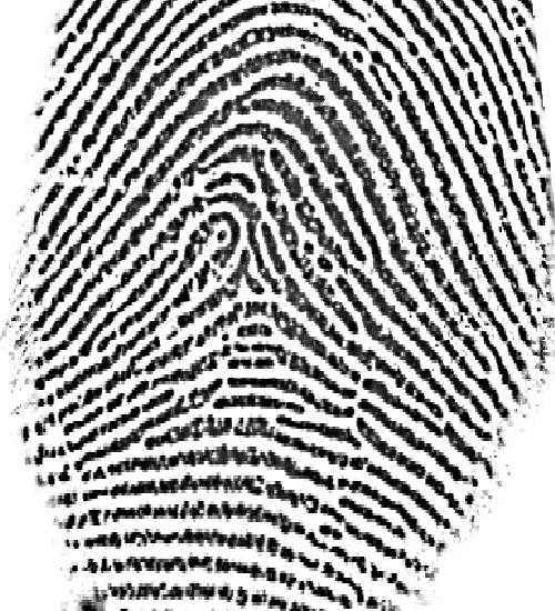 Since the fingerprint images acquired from scanner or any other media are not assured with perfect quality, those enhancement methods, for