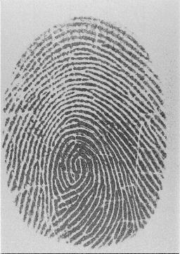 29 4.2 CASIA 2013 The second data set contains 1000 fingerprint images of 50 volunteers. There are always 20 images of 4 fingers included.