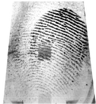 each. The imprints are corresponding to the sensor types used during the acquisition process. So each single set is containing 980 images.