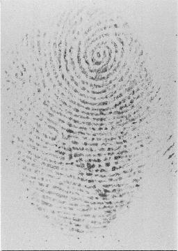 43 Fig. 19: Dried fingerprints. Fig. 20: Imprints with block artifacts located in the center.