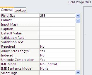 Access 2010 Basics Field Properties Field Properties should be set in order to: format numbers and dates; to limit data entry to specific characters; to validate entries; to provide a mask for input;