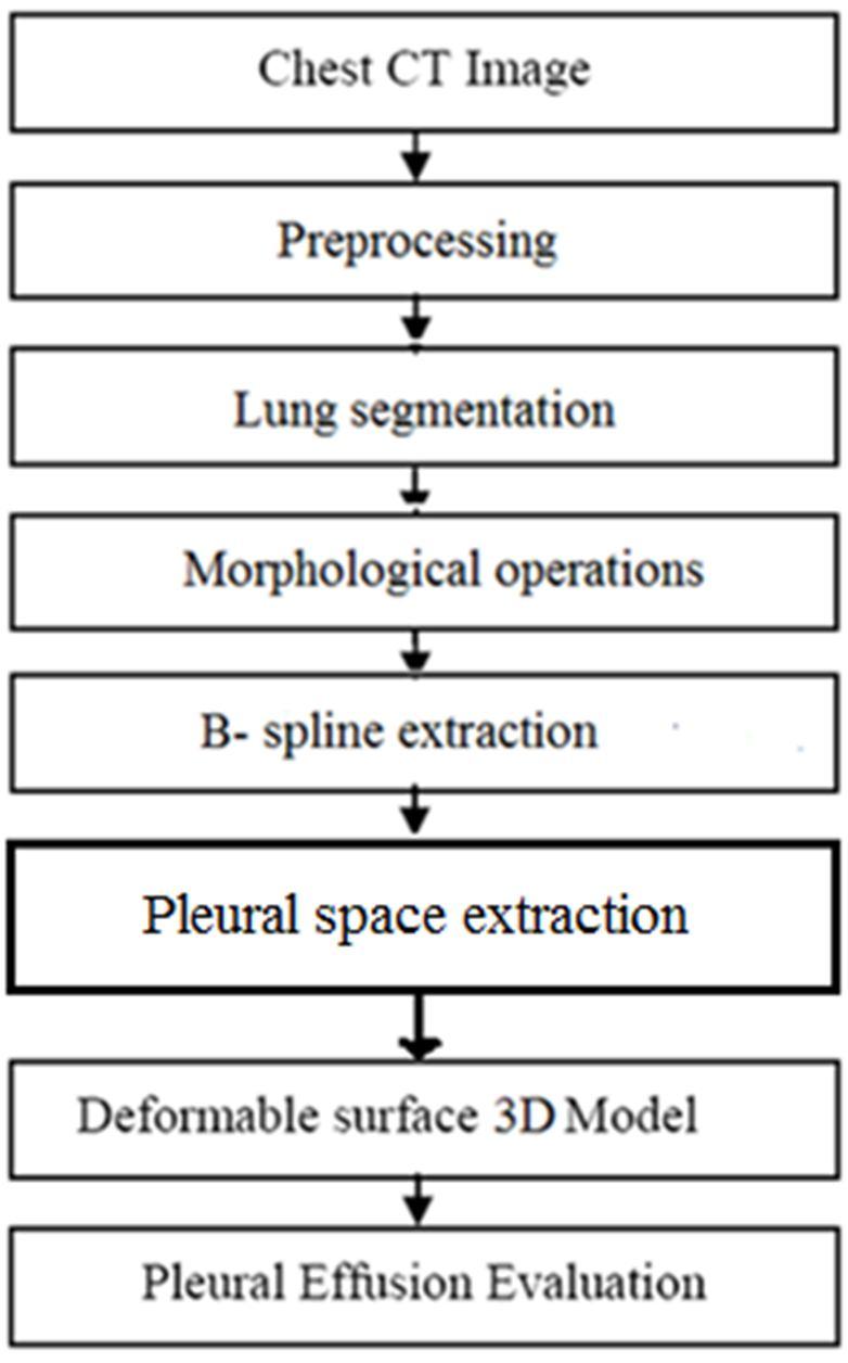 This work presents a method to segment and measure the volume of pleural effusion using chest CT scan images. This program is useful for the diagnosis of diseases. 2.