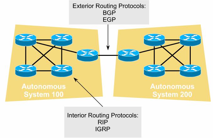 Interior and Exterior Routing Protocols Interior protocols are used for routing information within networks that are under a common