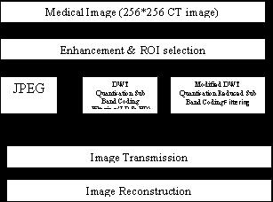 Page5 Mohamed Junaid et al, Asian Journal of Biomedical and Pharmaceutical Sciences (10) 01, 4-3 INTRODUCTION background pixels, the full binary images with clinical With the rapid development in