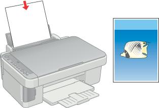 Printing / How to Print Printing Photos Handling single sheets of paper Driver settings for Windows Driver settings for Mac OS 9 Driver settings for Mac OS X Before turning on this product, make sure