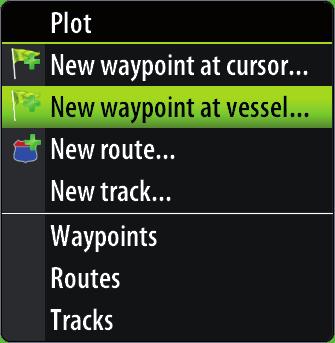 allowing you to specify waypoint details in the Waypoint