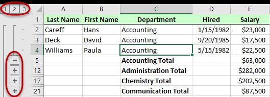 When a subtotal is created, Excel will display levels of the data on the left side of the data.
