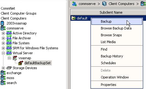 The same or a separate ESX/ESXi server that is utilized to create the Snapshot can be utilized to backup the snapshot.
