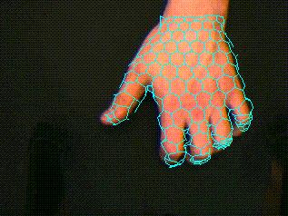 2.3 Tracking hands using active contours/deformable models 2D deformable active shape models (or smart snakes) [50] are another popular approach used to track hands (see Figure 6).