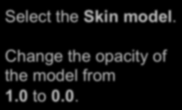 Slicer4 Minute Tutorial: 3D Visualization Select the Skin model.