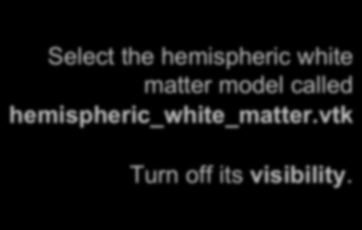 Slicer4 Minute Tutorial: 3D Visualization " Select the hemispheric white matter