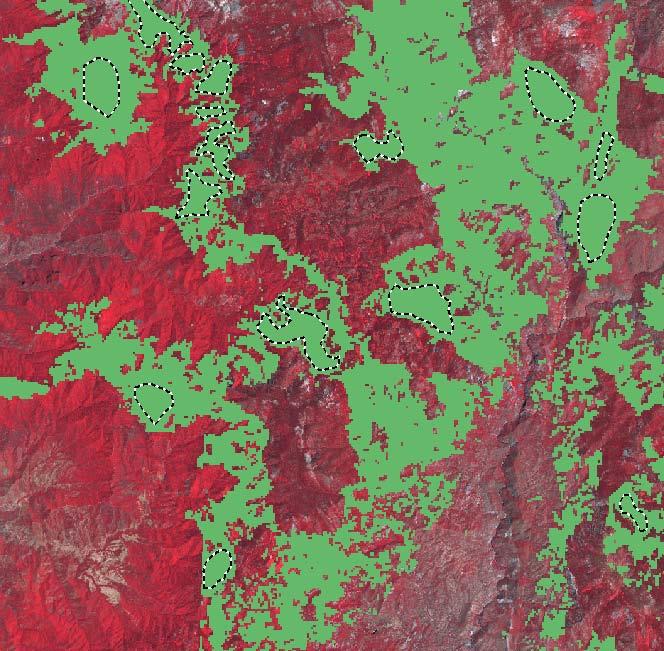 10 km Figure 3. AOIs (dashed black-white lines) created over same land cover class (Sierran mixed conifer, in green).