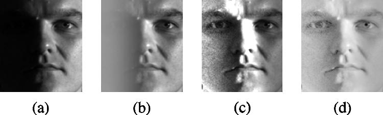 460 IEEE TRANSACTIONS ON SYSTEMS, MAN, AND CYBERNETICS PART B: CYBERNETICS, VOL. 36, NO. 2, APRIL 2006 The first DCT coefficient (i.e., the DC component) determines the overall illumination of a face image.