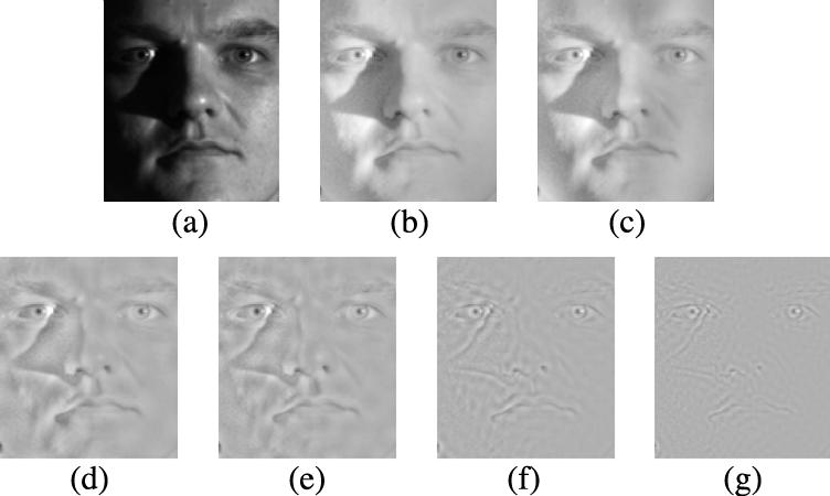 Since we are only concerned with the illumination problem in this paper, frontal face images under varying lighting conditions are used.