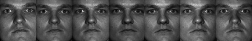 Examples of misaligned face images from Yale B Subset 1. Fig. 17. Performance on the misaligned Yale B database with different D. (a) Correlation. (b) Eigenfaces. face images are presented.