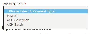 Payment From File When choosing New Payment from the Payments screen, you can choose to create a