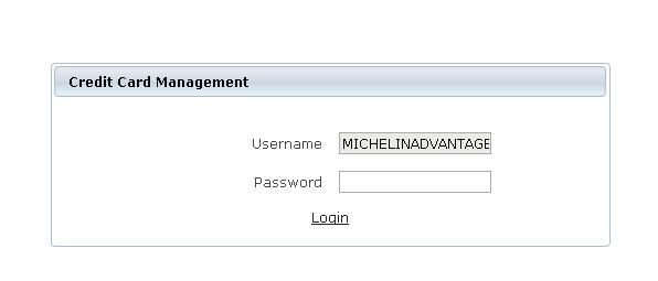 User Name will be populated based on your MichelinB2B login.