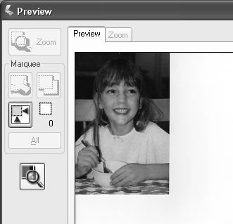 Follow these steps to preview your image(s) in Home, Office, or Professional Mode: 1. Click the Preview button toward the bottom of the EPSON Scan window.