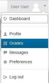 The following images show how to find grades in the navigation pane; below